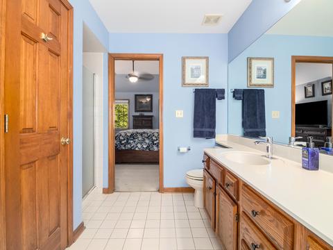 1171 Charter Oaks Dr, Bartlett, IL 60103 photo 18