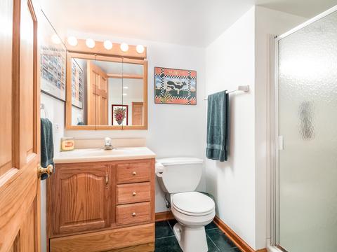 1171 Charter Oaks Dr, Bartlett, IL 60103 photo 27