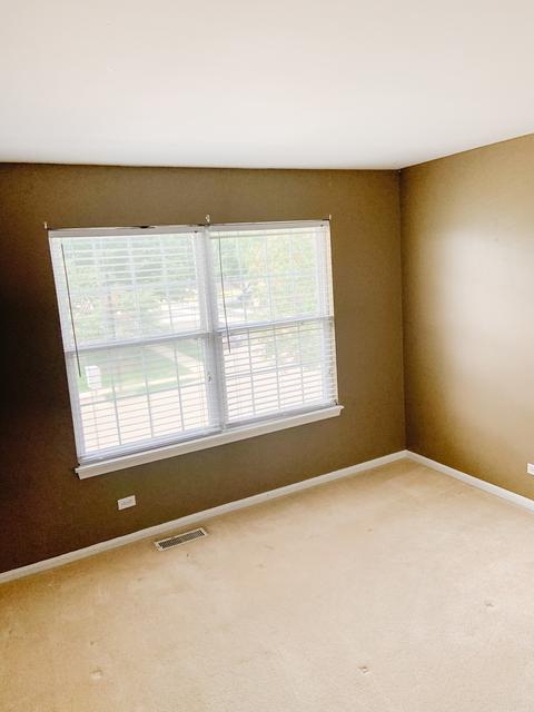 227 Grandview Ct, Algonquin, IL 60102 photo 20
