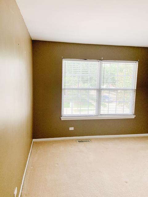 227 Grandview Ct, Algonquin, IL 60102 photo 21