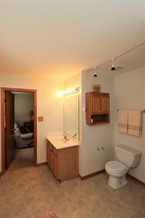 5419 Isabel Ct, Plainfield, IL 60586 photo 28