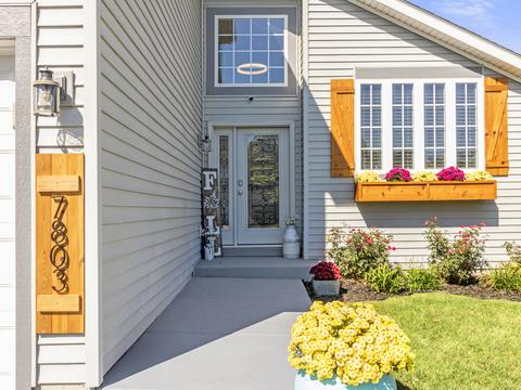 7803 Boxwood Ln, Plainfield, IL 60586 photo 3