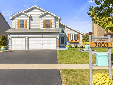 7803 Boxwood Ln, Plainfield, IL 60586 photo 1