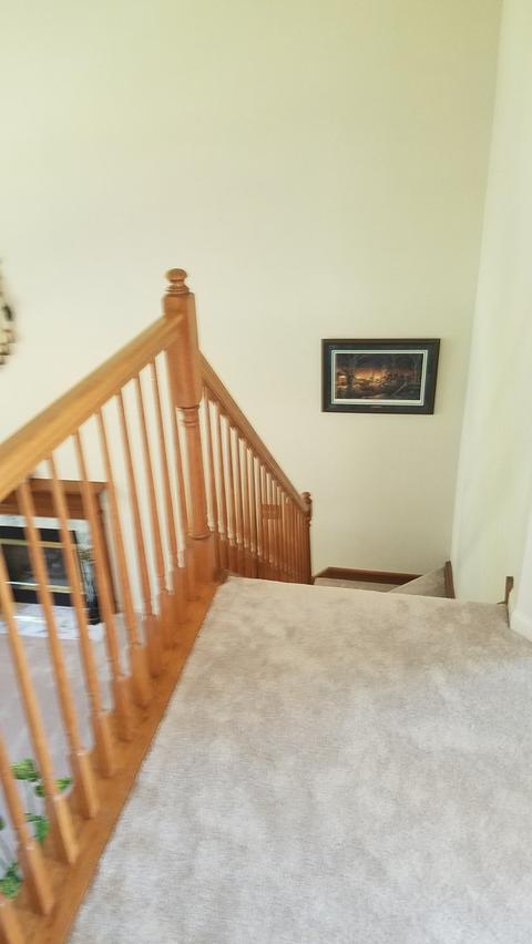1930 Peach Tree Ln, Algonquin, IL 60102 photo 19