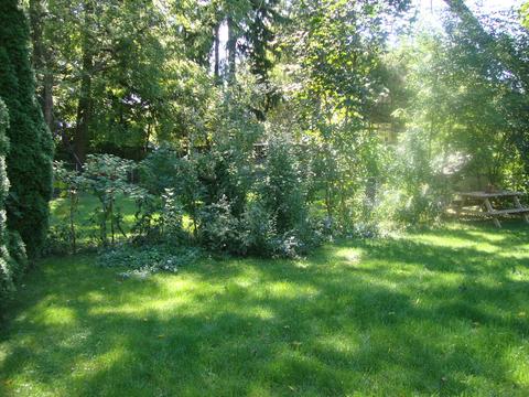 365 Silver St, Elgin, IL 60123 photo 24