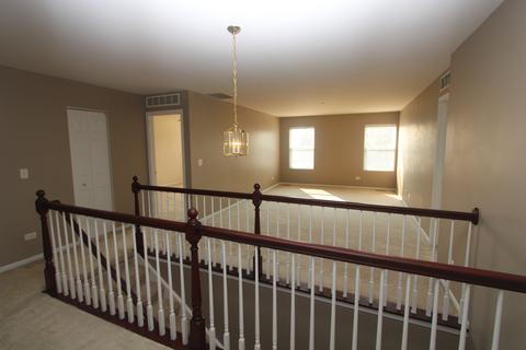 14305 General Ct, Plainfield, IL 60544 photo 18