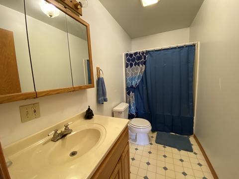 206 Susan Dr, Dwight, IL 60420 photo 19