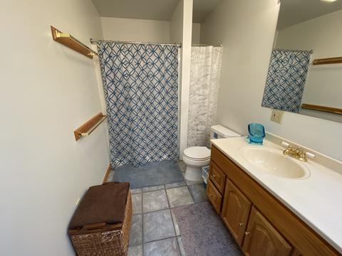 206 Susan Dr, Dwight, IL 60420 photo 14