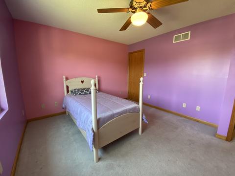 206 Susan Dr, Dwight, IL 60420 photo 21