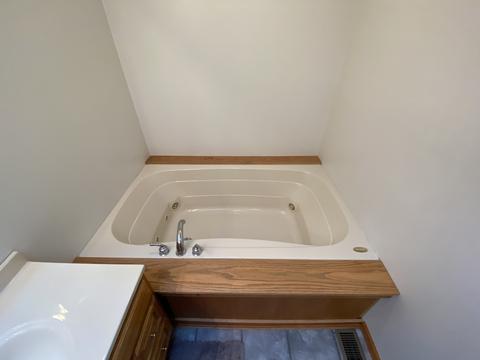 206 Susan Dr, Dwight, IL 60420 photo 13