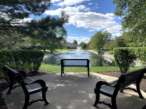 3137 Reflection Dr, Naperville, IL 60564 photo 30