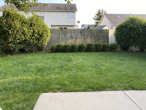 2971 E Raab Rd, Normal, IL 61761 photo 3