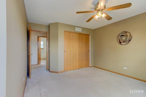 1645 Manor Oaks Dr, Plainfield, IL 60586 photo 21