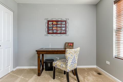 1705 Red Maple Dr, Plainfield, IL 60586 photo 36