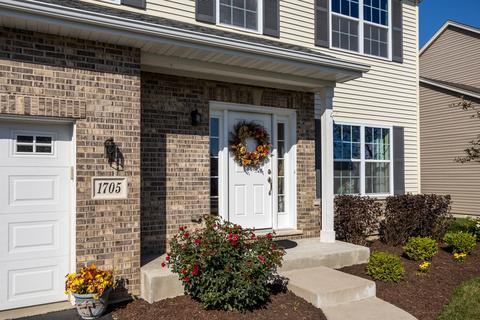 1705 Red Maple Dr, Plainfield, IL 60586 photo 4
