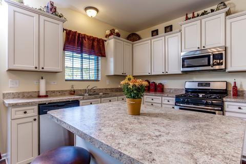 1705 Red Maple Dr, Plainfield, IL 60586 photo 13