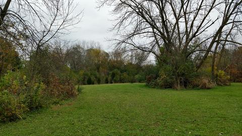 20959 Deerpath Rd, Deer Park, IL 60010 photo 8