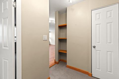 33 E Cedar St #8E, Chicago, IL 60611 photo 19