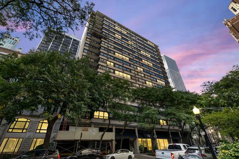 33 E Cedar St #8E, Chicago, IL 60611 photo 27