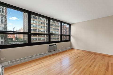 33 E Cedar St #8E, Chicago, IL 60611 photo 11