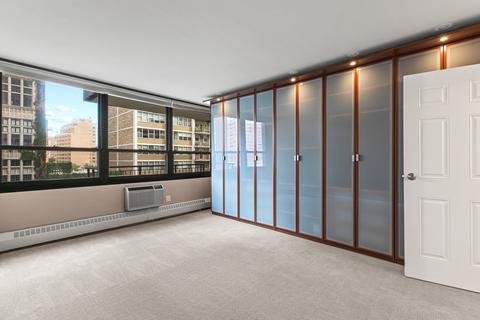 33 E Cedar St #8E, Chicago, IL 60611 photo 16