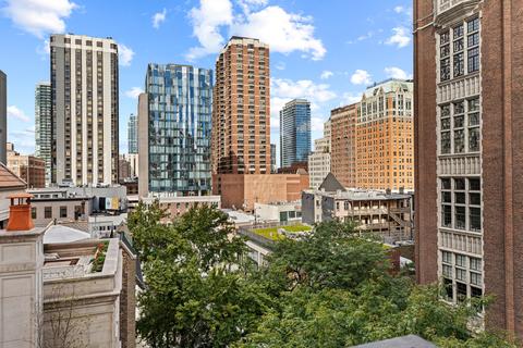 33 E Cedar St #8E, Chicago, IL 60611 photo 14
