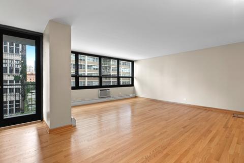 33 E Cedar St #8E, Chicago, IL 60611 photo 12