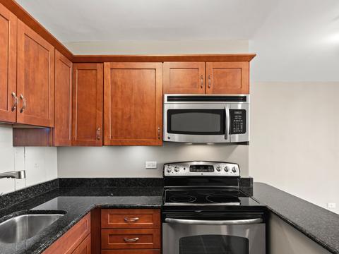 33 E Cedar St #8E, Chicago, IL 60611 photo 3