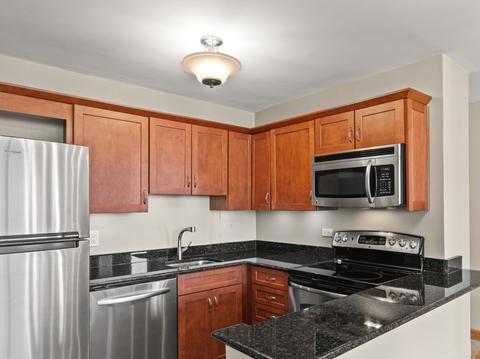 33 E Cedar St #8E, Chicago, IL 60611 photo 2