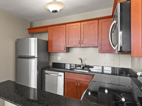 33 E Cedar St #8E, Chicago, IL 60611 photo 5