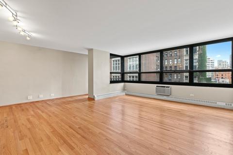 33 E Cedar St #8E, Chicago, IL 60611 photo 10