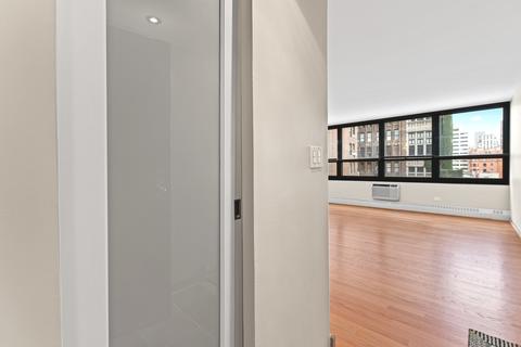 33 E Cedar St #8E, Chicago, IL 60611 photo 21