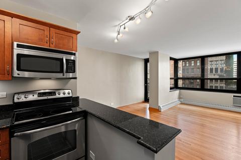 33 E Cedar St #8E, Chicago, IL 60611 photo 4