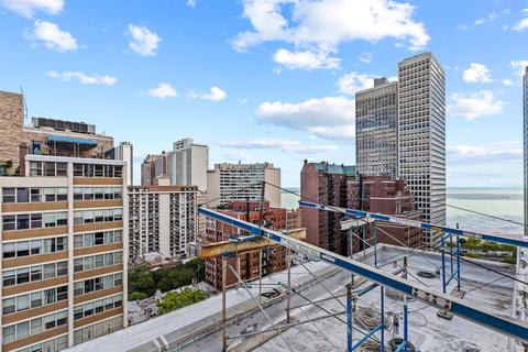 33 E Cedar St #8E, Chicago, IL 60611 photo 25