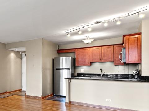 33 E Cedar St #8E, Chicago, IL 60611 photo 9