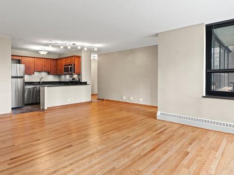 33 E Cedar St #8E, Chicago, IL 60611 photo 8