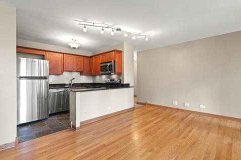 33 E Cedar St #8E, Chicago, IL 60611 photo 6