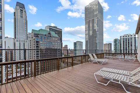 33 E Cedar St #8E, Chicago, IL 60611 photo 23