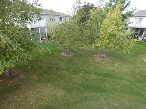 1552 Millbrook Dr, Algonquin, IL 60102 photo 14