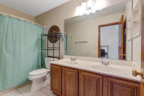 970 Amaranth Dr, Aurora, IL 60504 photo 11