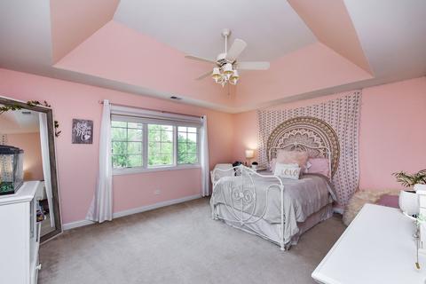 12426 Chiszar Ave, Mokena, IL 60448 photo 22