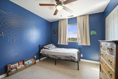 1630 E Patmore St, Diamond, IL 60416 photo 21