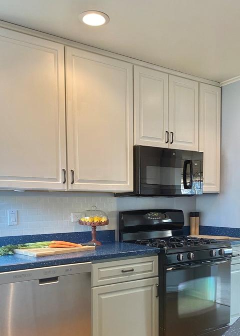 1287 Webster Ln, Des Plaines, IL 60018 photo 12