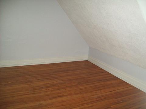 303 Mcdonald St, Walnut, IL 61376 photo 9