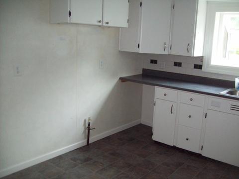 303 Mcdonald St, Walnut, IL 61376 photo 5