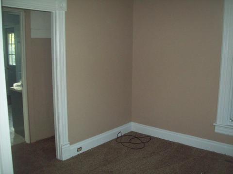 303 Mcdonald St, Walnut, IL 61376 photo 15