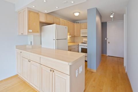 1 E Scott St #1805, Chicago, IL 60610 photo 6
