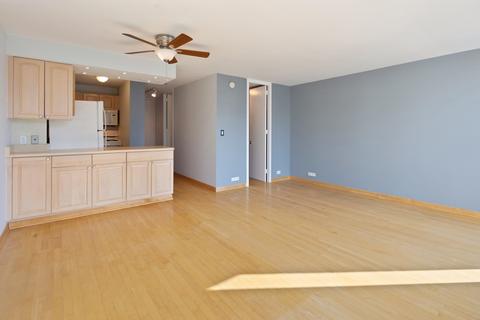 1 E Scott St #1805, Chicago, IL 60610 photo 4