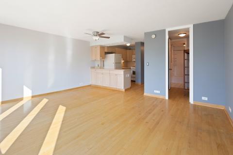 1 E Scott St #1805, Chicago, IL 60610 photo 5