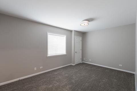 12414 Blue Iris Ln, Plainfield, IL 60585 photo 38